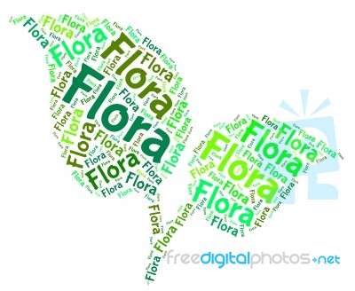 Flora Word Means Plant Life And Areas Stock Image