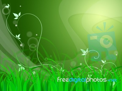 Floral Horizon Background Shows Natural Field Or Fresh Environme… Stock Image