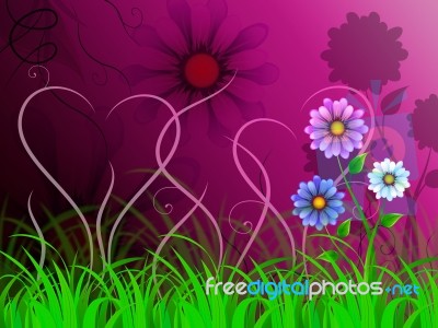 Flowers Background Shows Colorful Pretty And Natural World
 Stock Image