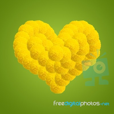 Flowers Heart Stock Photo