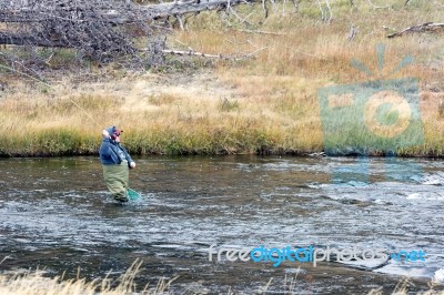 Fly Fishing In Fairy Creek Stock Photo