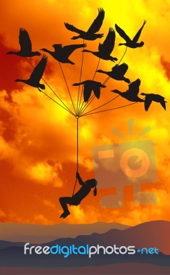Flying Girl With Wild Geese And Orange Sky Stock Image