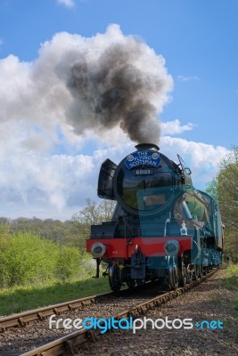 Flying Scotsman On The Bluebell Line Stock Photo