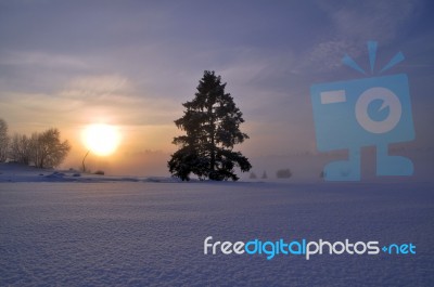 Fog Stock Photo Fog Stock Photo