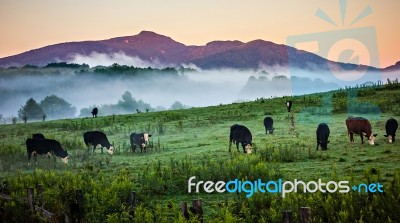 Fog Rolling Through Blue Ridge Parkway Farm Lands Stock Photo