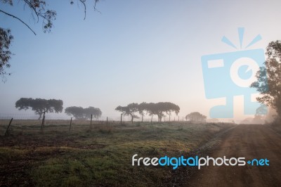 Foggy Countryside Stock Photo