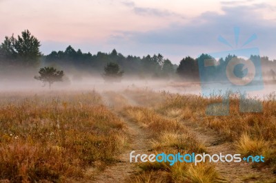Foggy Dirt Road At Summer Morning Riverbank. Misty Dawn At Summe… Stock Photo