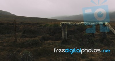 Foggy Field On The Mountain  Stock Photo