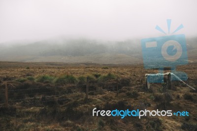 Foggy Field On The Mountain  Stock Photo