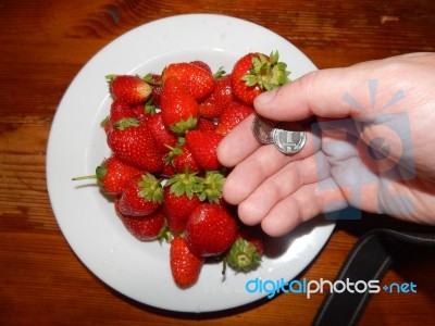 Food Bought In A Shop At Home  Stock Photo