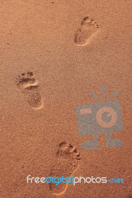 Footprint On Beach Stock Photo
