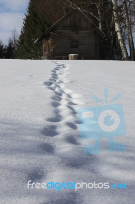 Footprints In Snow Leading To Old Wooden Hut And Forest Stock Photo
