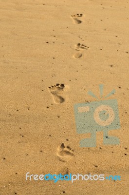 Footsteps Stock Photo