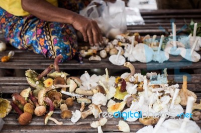 Forest Mushrooms In Thai Street Market Stock Photo