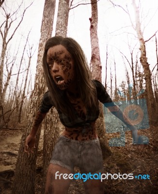 Forest Of The Death Stock Image