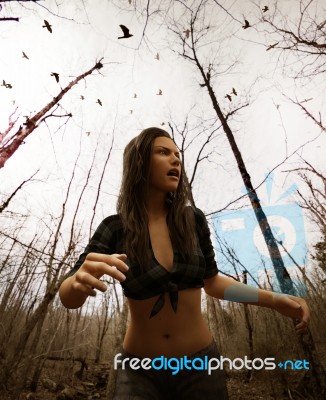 Forest Of The Witch Stock Image Forest Of The Witch Stock Image