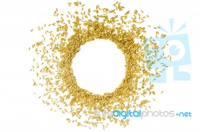 Frame By Paddy Rice And Rice Seed On The White Background For Isolated Stock Photo