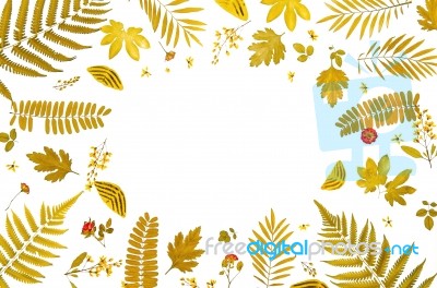 Frame From Yellow Leaves And Dry Leaves And Flower On White Background Stock Photo