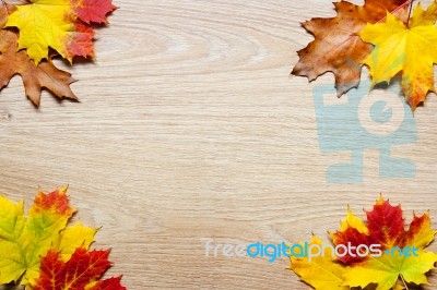 Frame Of Autumn Leaves Stock Photo