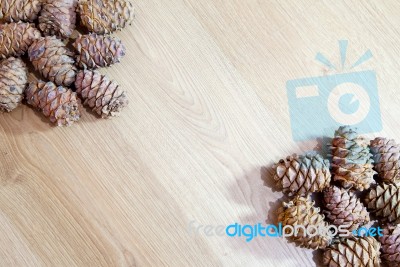 Frame With Cedar Cones Stock Photo