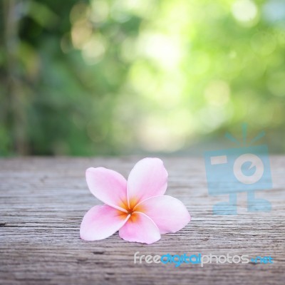 Frangipani Flower On Wooden Table Stock Photo
