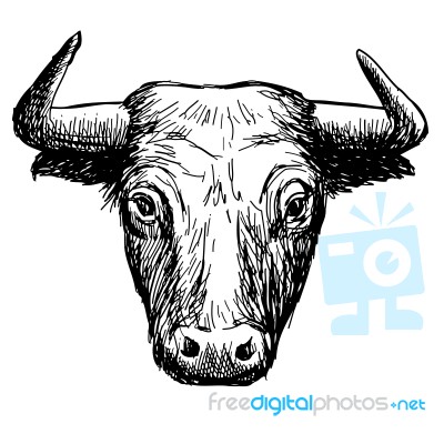 Freehand Sketch Illustration Of Bul Stock Image Freehand Sketch Illustration Of Bul Stock Image