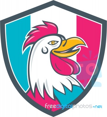 French Rooster Head France Flag Shield Cartoon Stock Image