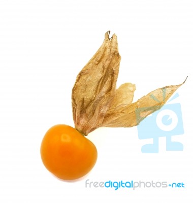 Fresh Cape Goosebery, Physalis, On White Background Stock Photo