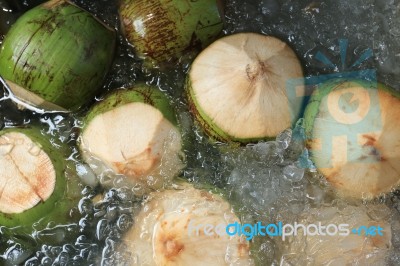 Fresh Coconuts Float Above Ice And Water Stock Photo