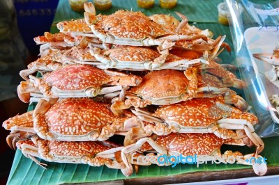 Fresh Dungeness Crab Stock Photo