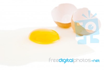 Fresh Egg Stock Photo