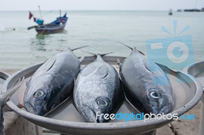 Fresh Fish From Sea Market In Thailand Stock Photo