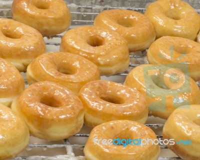 Fresh Glazed Donuts Stock Photo