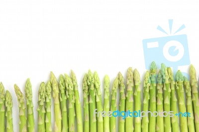 Fresh Green Asparagus  Stock Photo