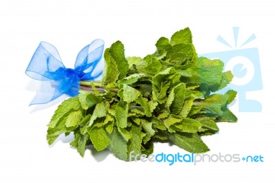 Fresh Green Bundle Mint Isolated On White Stock Photo