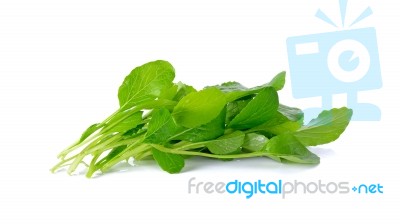 Fresh Green Turnip On The White Background Stock Photo