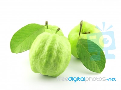 Fresh Guava Stock Photo