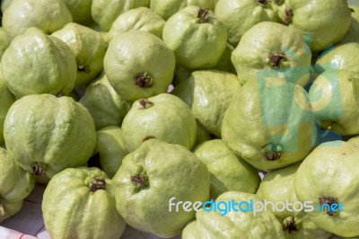 Fresh Guava From The Market Stock Photo