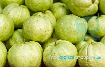 Fresh Guava Fruit Stock Photo