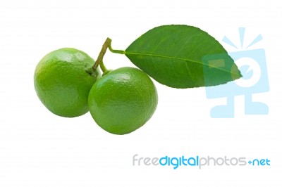 Fresh Lime Isolated On White Background Stock Photo