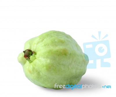 Fresh Of Guava Fruit Stock Photo