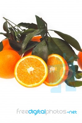 Fresh Orange Isolated Stock Photo