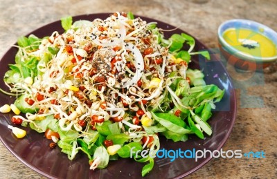 Fresh Organic Salad  Stock Photo