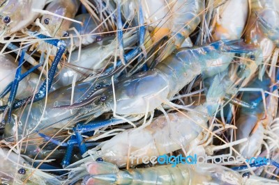 Fresh Prawn Shrimp On The Market Stock Photo