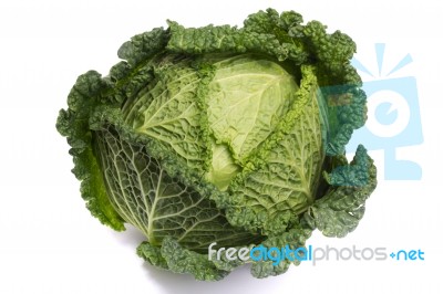 Fresh Savoy Cabbage Stock Photo