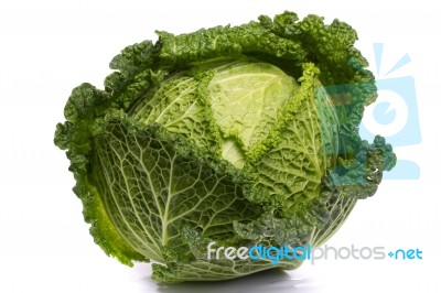 Fresh Savoy Cabbage Stock Photo
