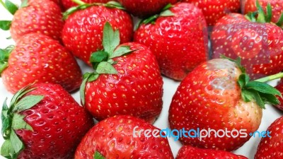 Fresh Strawberry Stock Photo