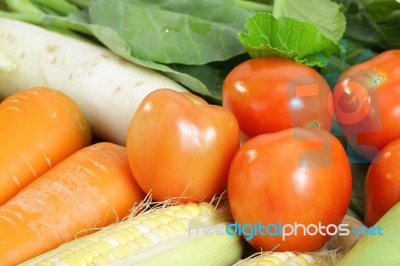 Fresh Vegetables Arrange Stock Photo