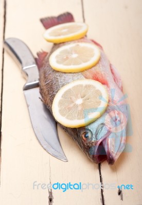 Fresh Whole Raw Fish Stock Photo