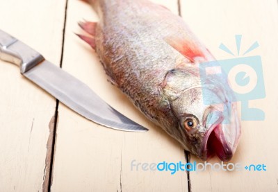 Fresh Whole Raw Fish Stock Photo